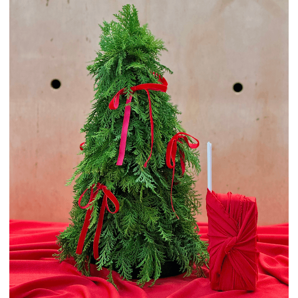 thumb-kit-arvore-m-vinho-0