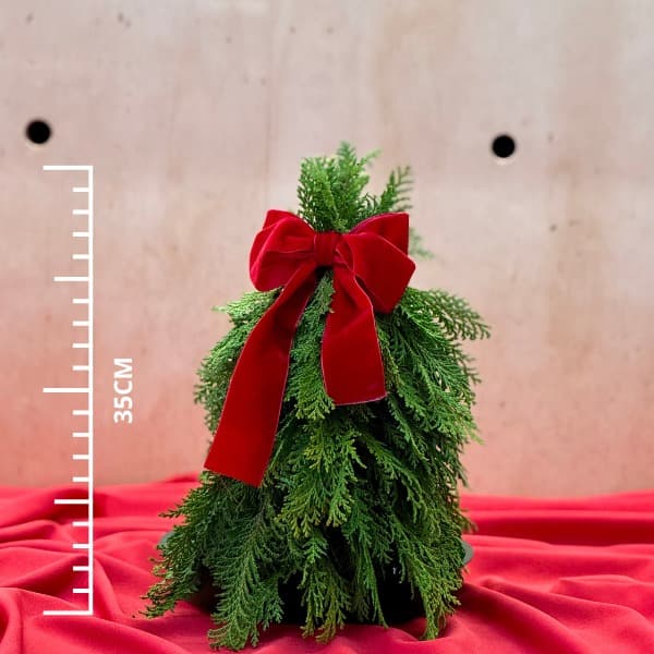 thumb-arvore-de-natal-kit-p-m-1