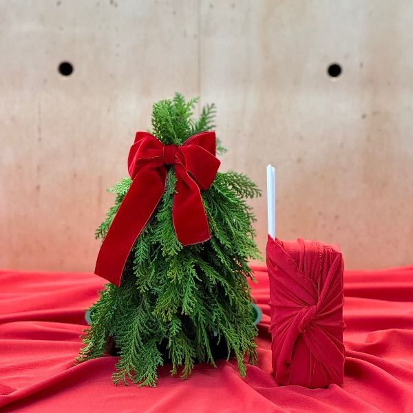 thumb-kit-arvore-de-natal-p-difusor-festivo-1