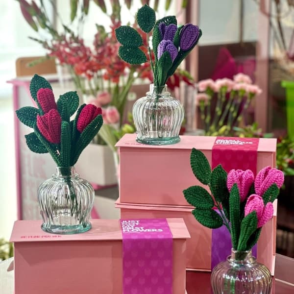 thumb-tulipa-croche-first-flowers-0