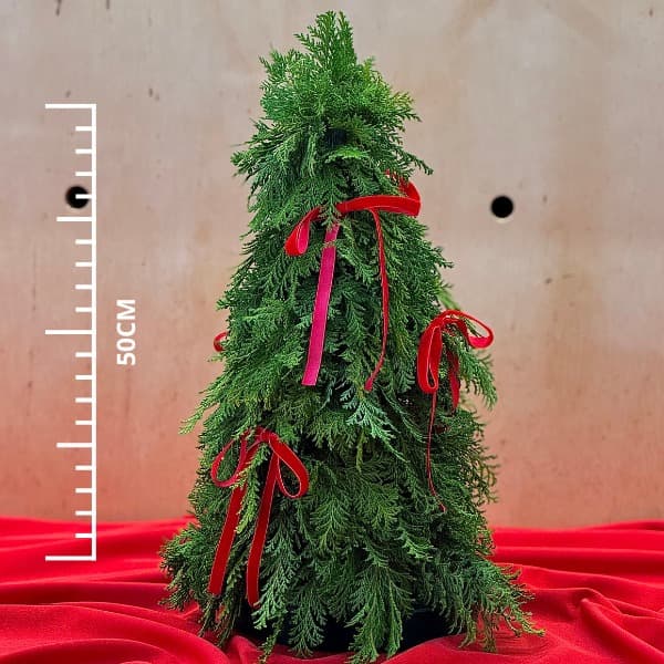 thumb-kit-arvore-de-natal-m-vinho-festivo-2