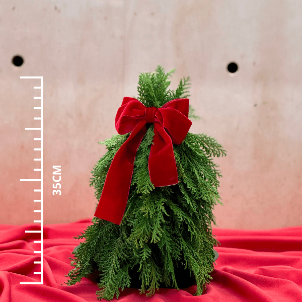 thumb-arvore-natal-p-vinho-1