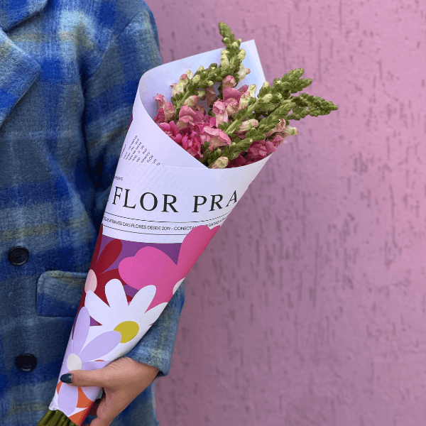 thumb-maco-boca-de-leao-2