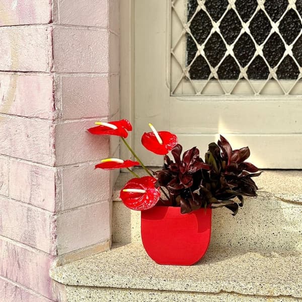 thumb-vaso-vintage-vermelho-0