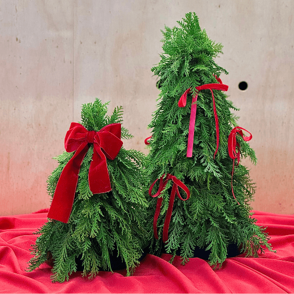 thumb-arvore-natal-p-0