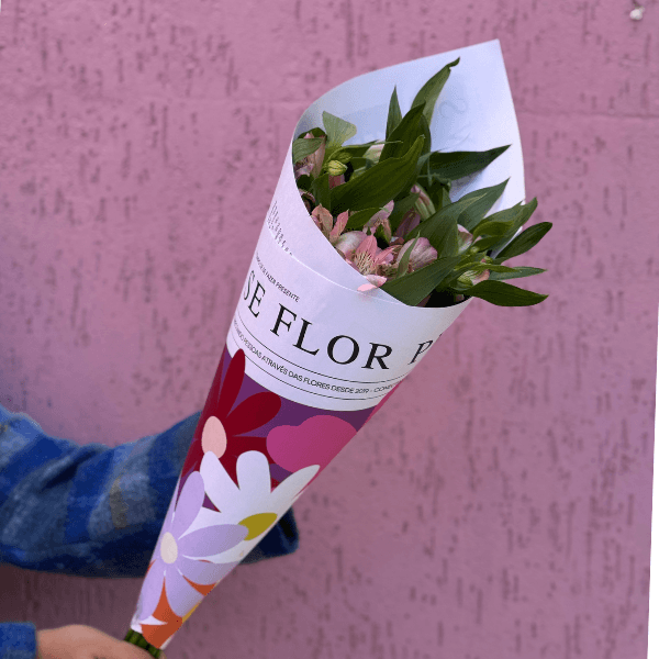 thumb-maco-alstromelia-0