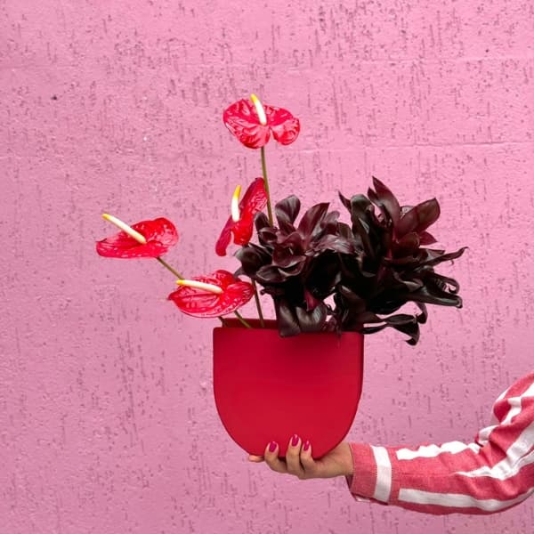 thumb-vaso-vintage-vermelho-1