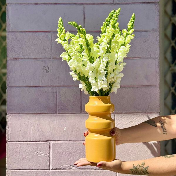 thumb-boca-de-leao-no-vaso-amarelo-0